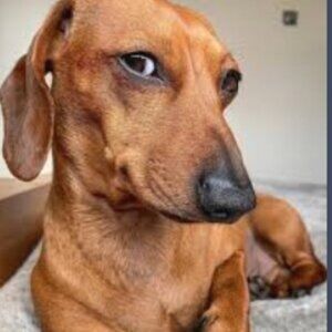 CANCELLED: bundles under $15